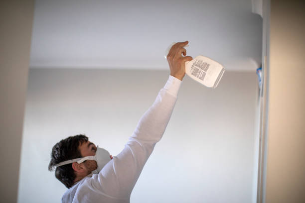 Best Certified Mold Removal  in Lake Hamilton, AR