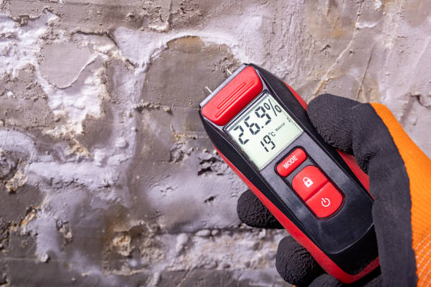 Best Black Mold Removal  in Lake Hamilton, AR